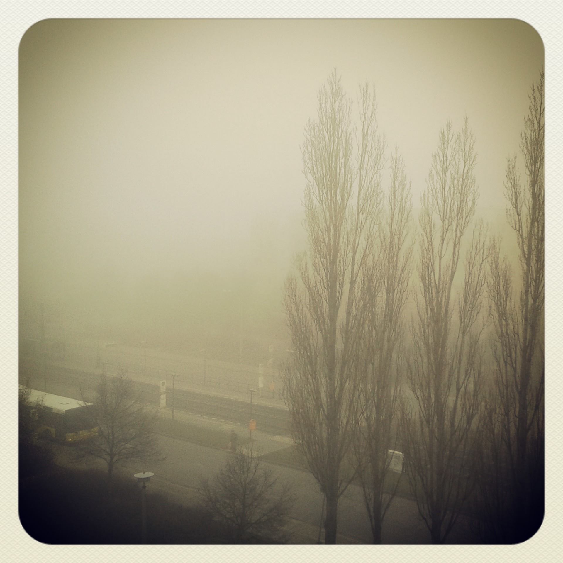 1617892_611276092288136_173865209_o